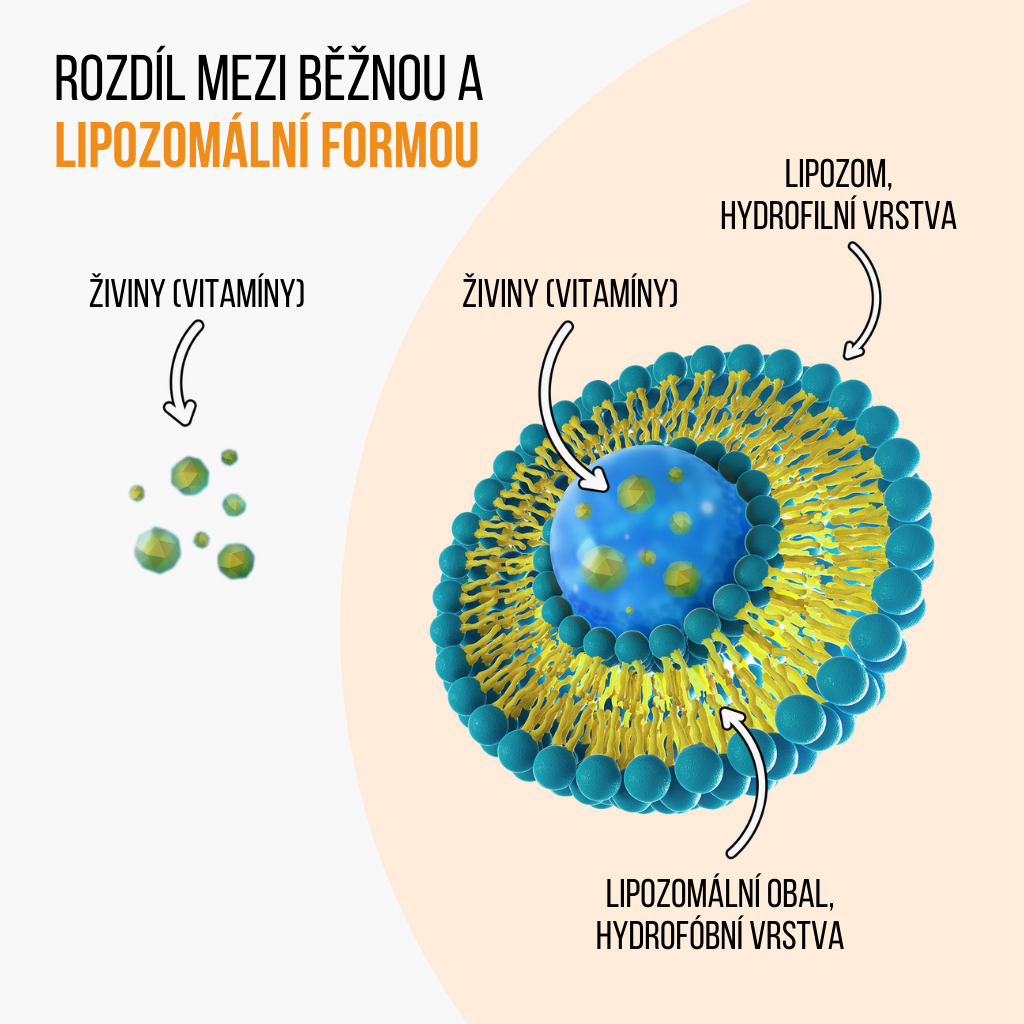 lipo vs witamina w wolnej formie